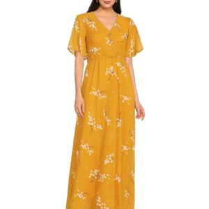 Styleville.in Women’s Synthetic Skater Maxi Dress